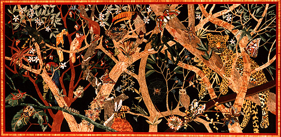 amazzon.jpg (167768 byte)